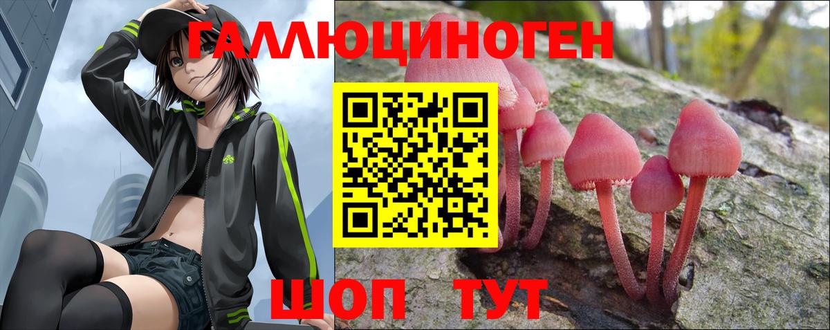 Псилоцибиновые грибы Cubensis  Вход с VPN  Саяногорск 